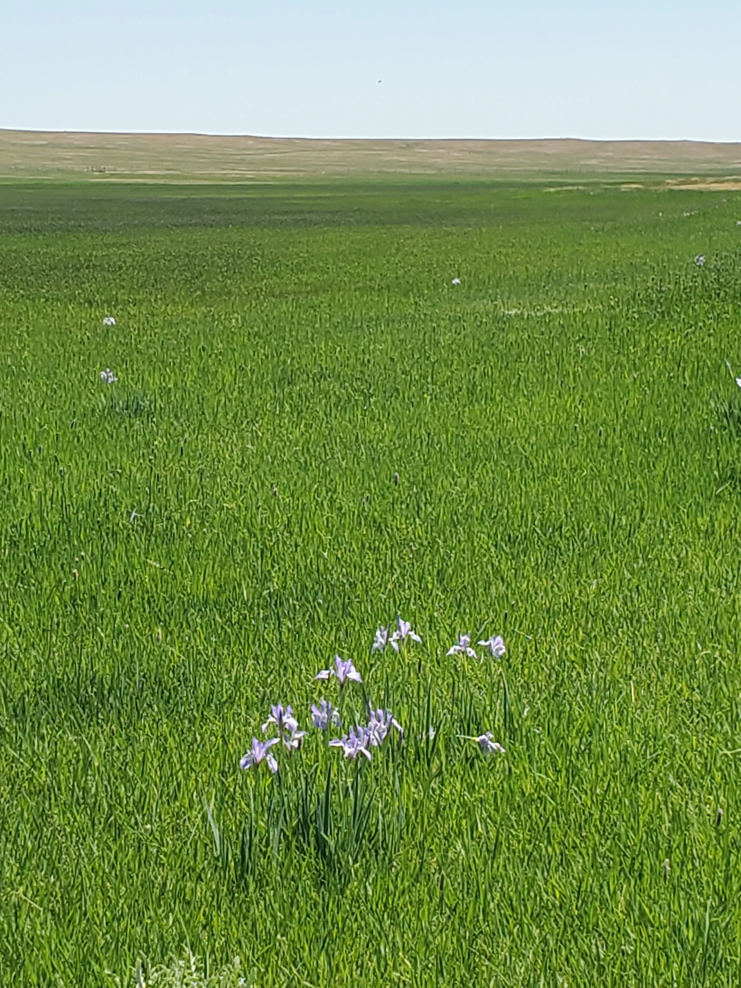 Beautiful Scenery The Oxford Ranch Laramie Wyoming
