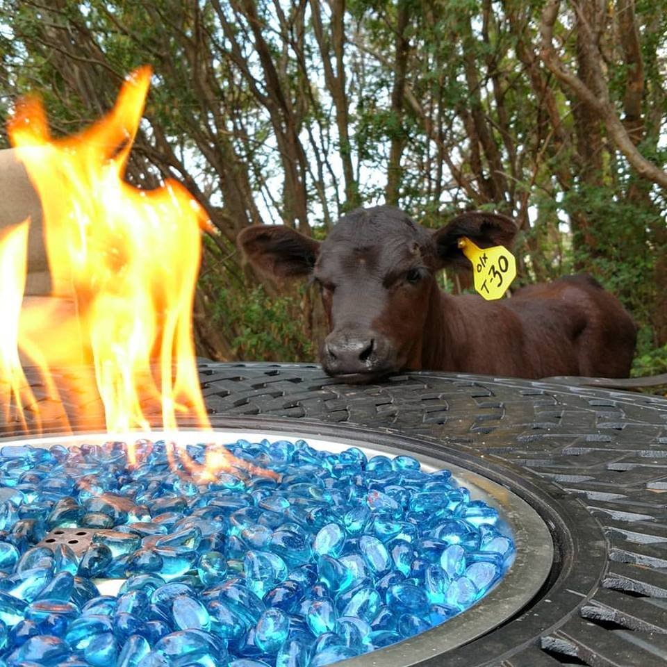 Firepit at the wedding lodging