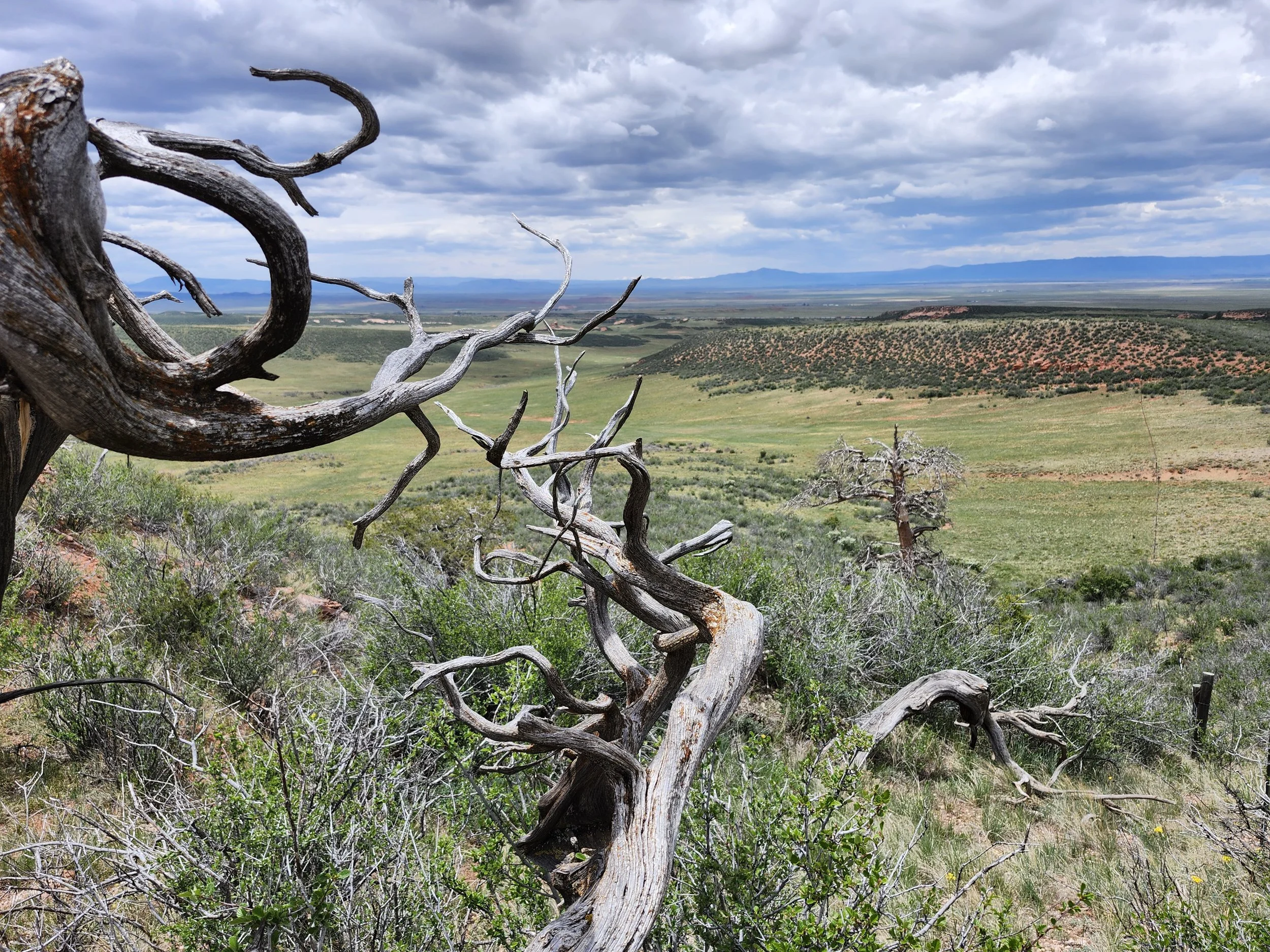 The Oxford Ranch Tour