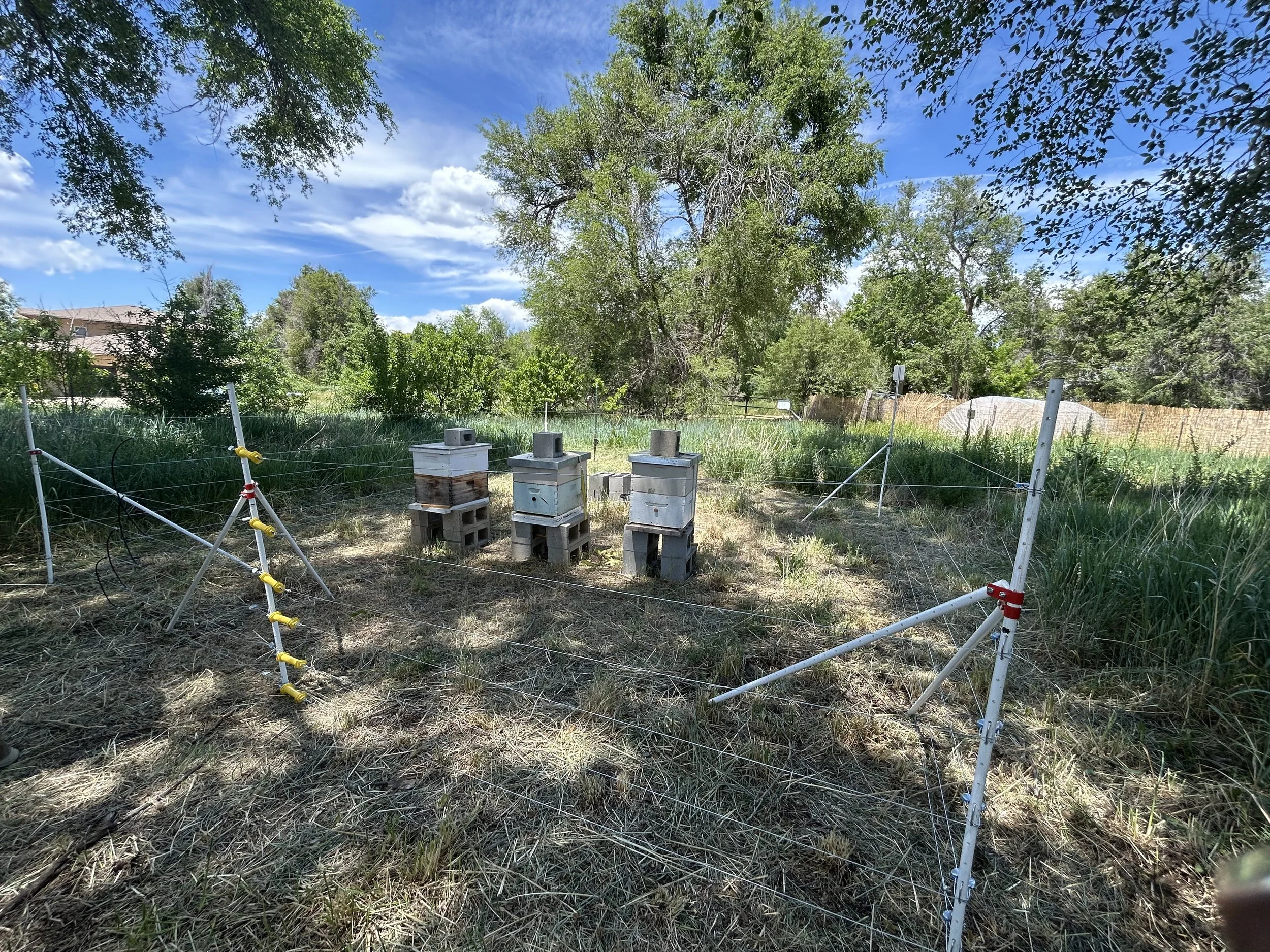 e-fencinginstall(5).jpg
