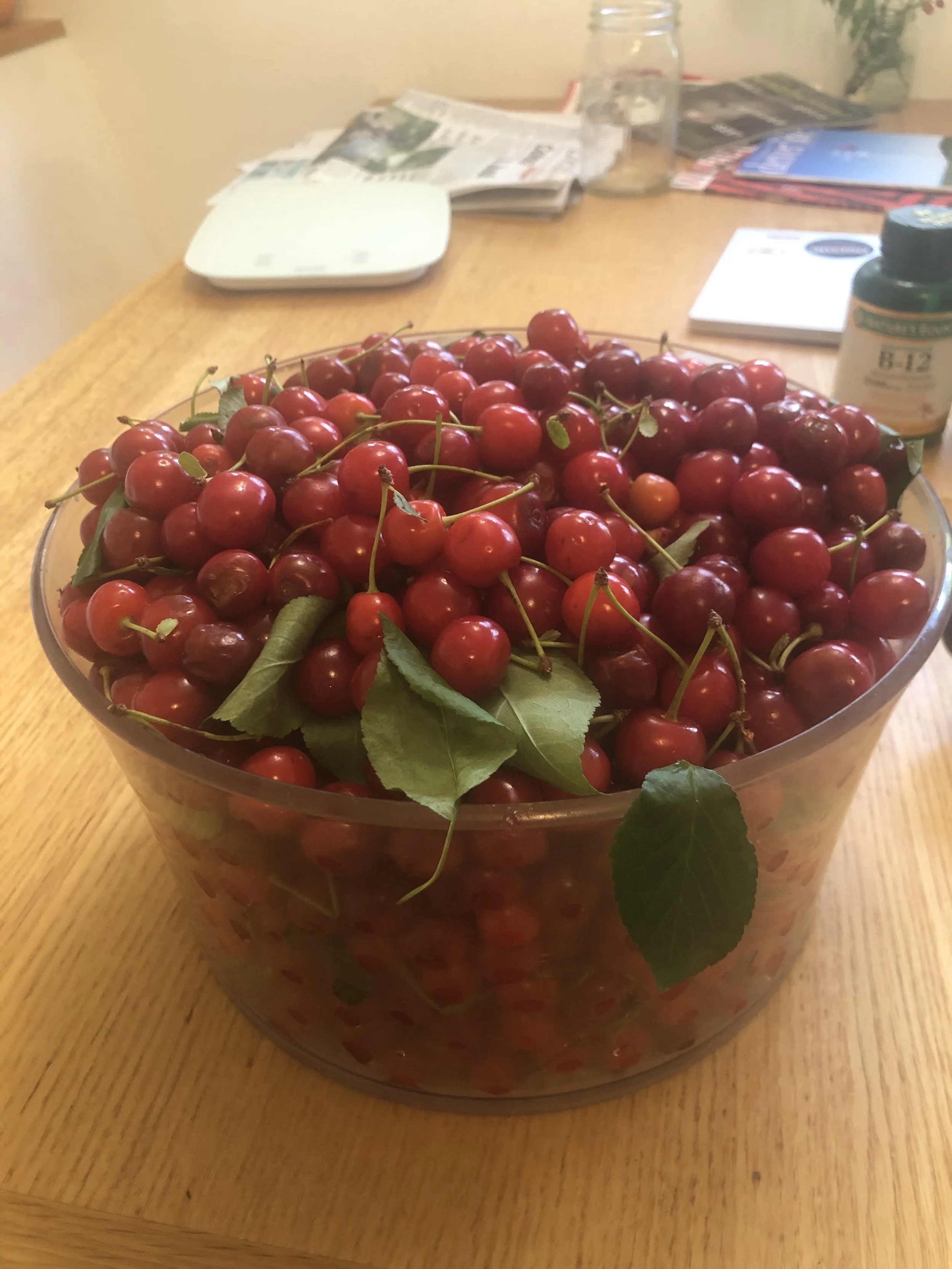 cherries.jpg