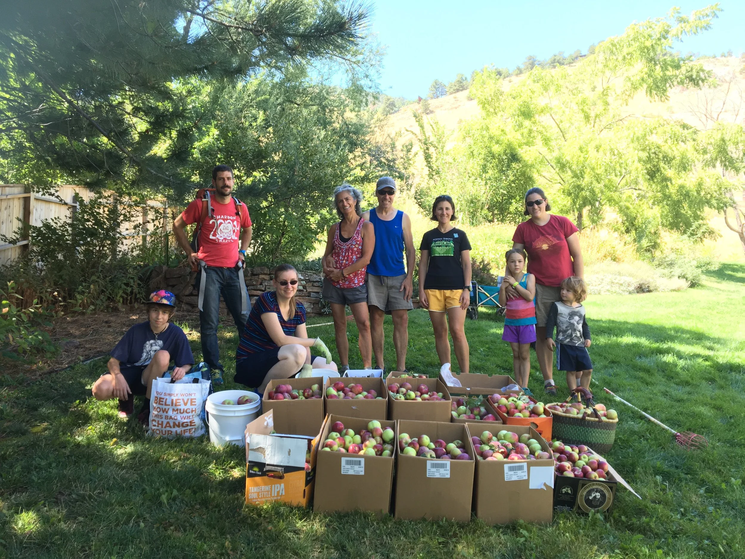 appleharvest(1).jpg