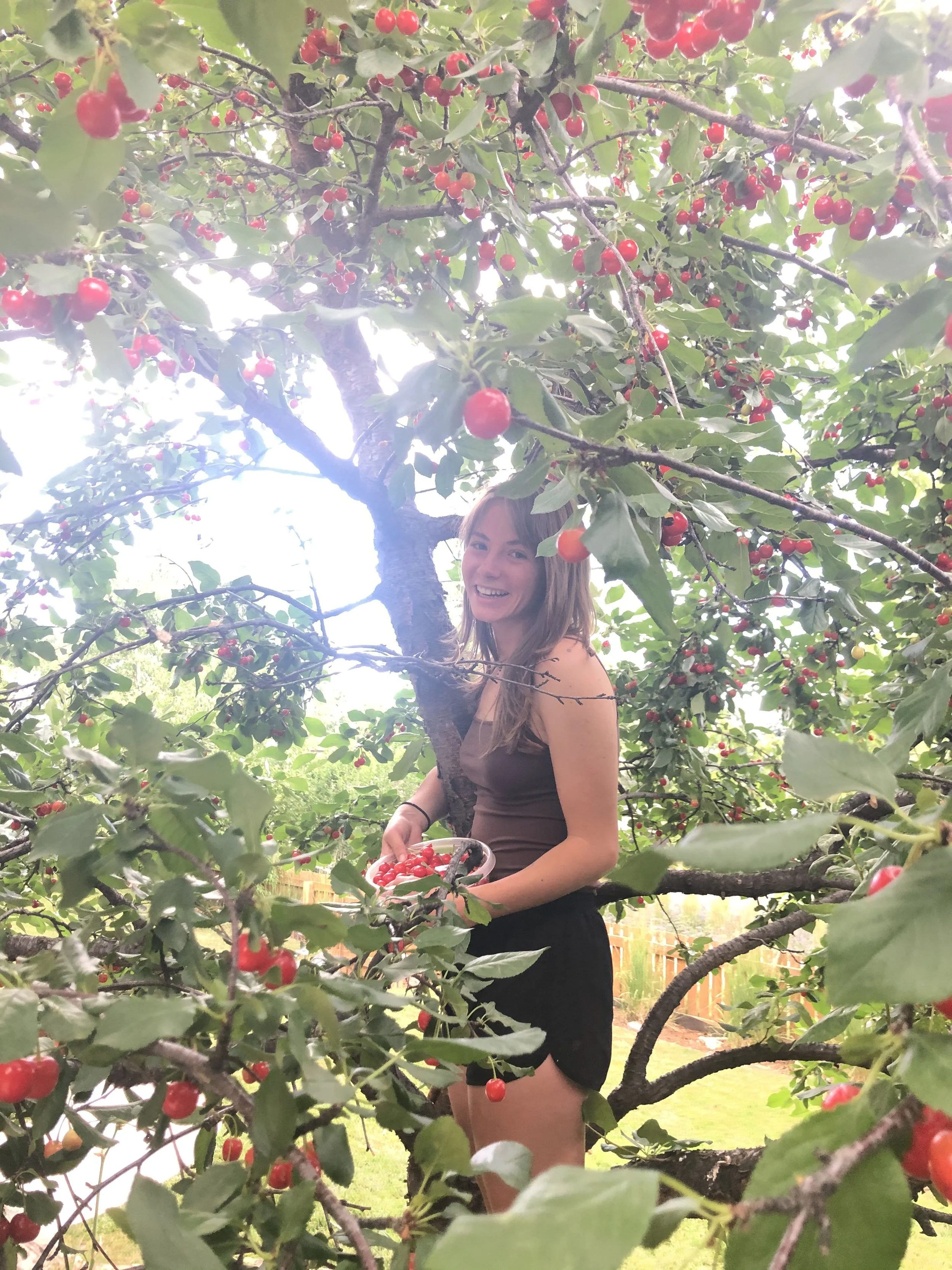 sophiaincherrytree.jpg