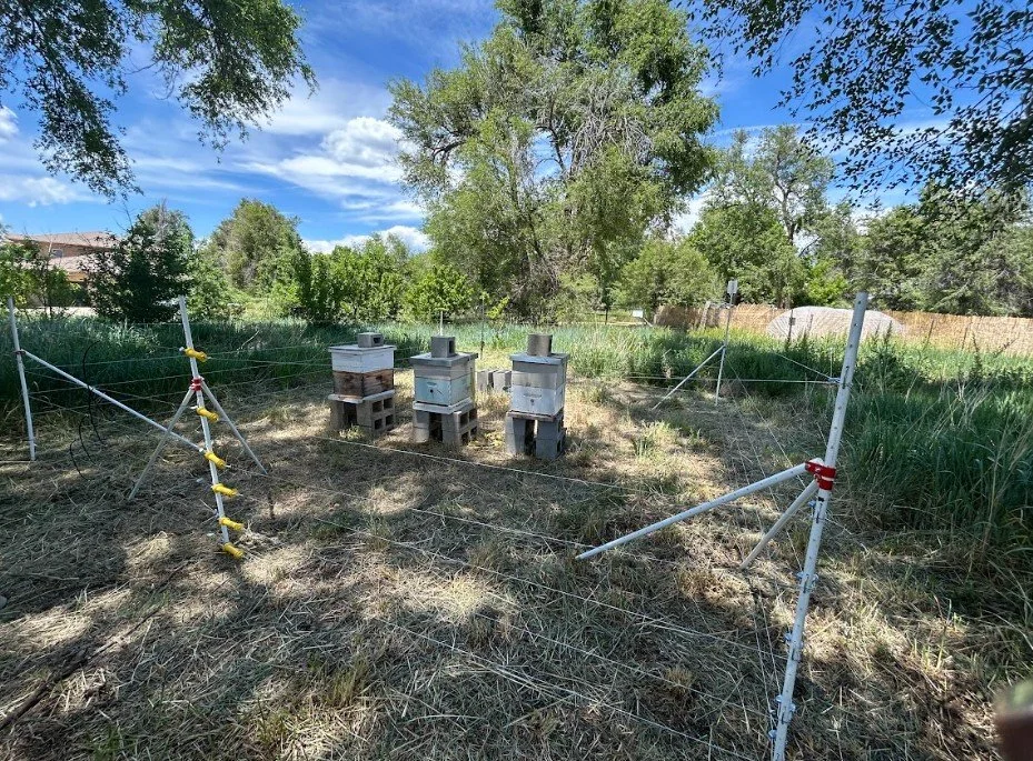 e-fencinginstall(12).jpg