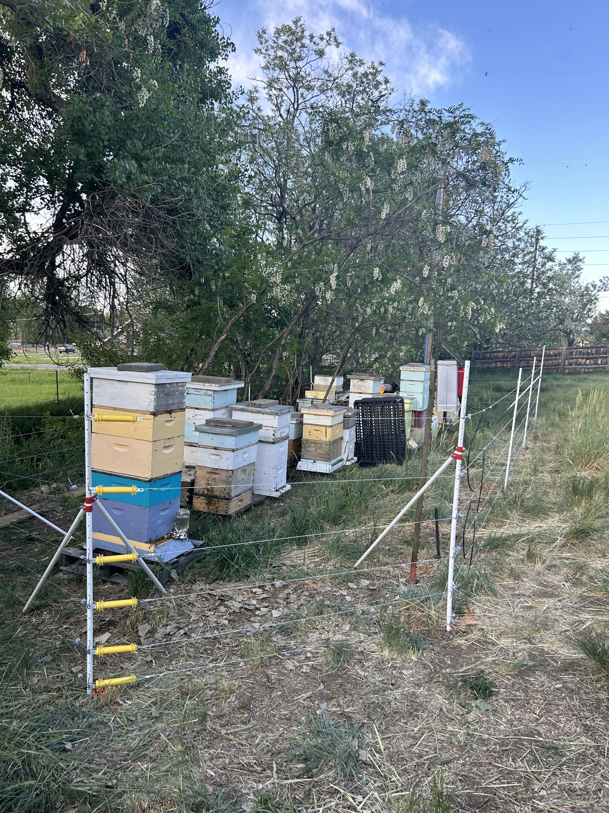 e-fencinginstall(8).jpg