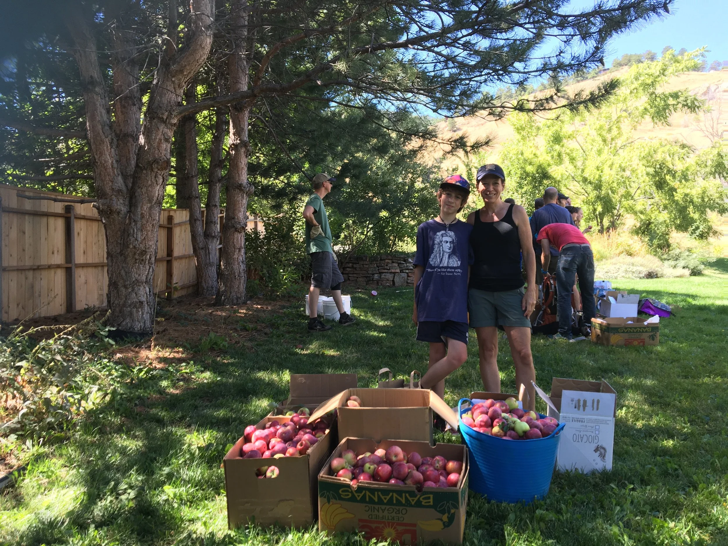 appleharvest(2).jpg