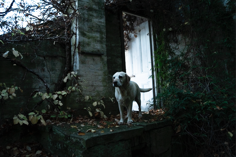 Screen Shot 2019-07-06 at 8.14.11 pm.PNG