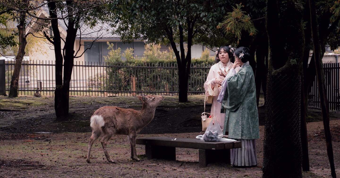 👸👸🦌