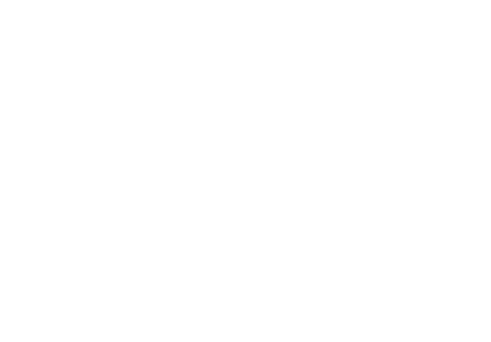 Passports