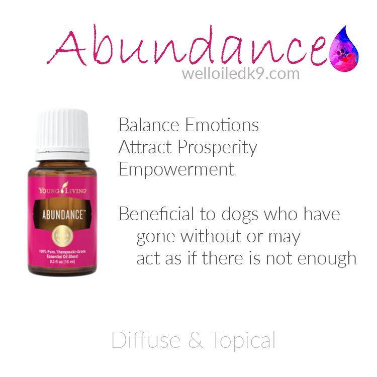 abundance.png