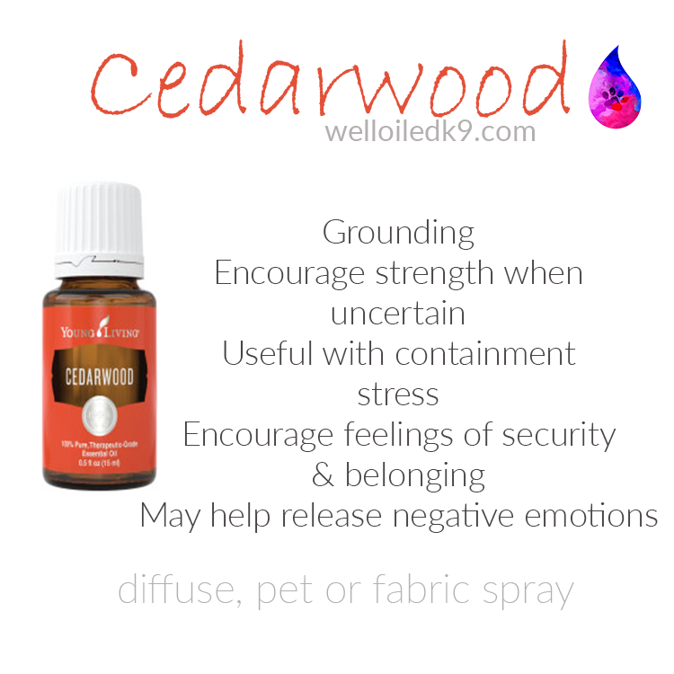 cedarwood.png