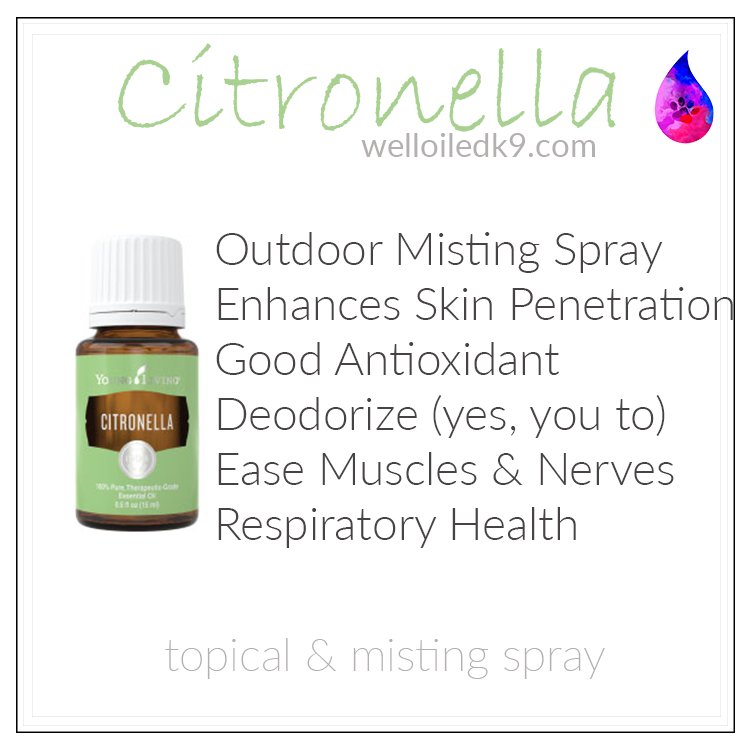 citronella.png