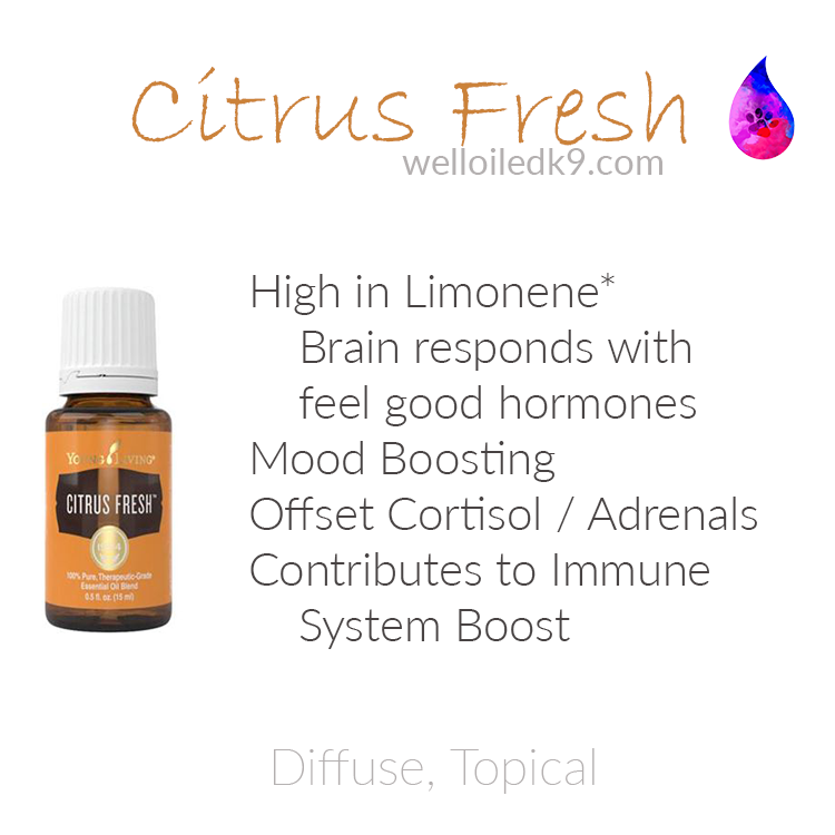 citrusfresh.png