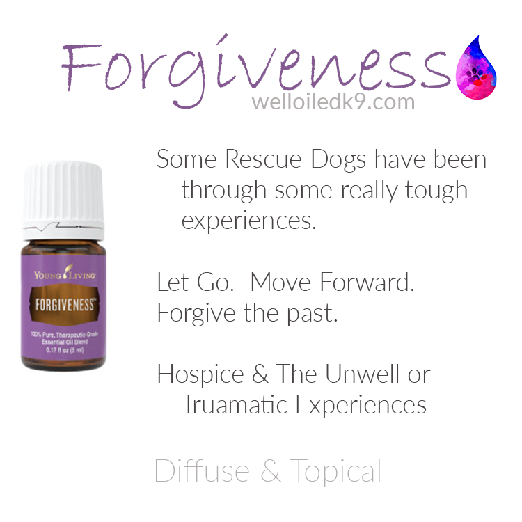 forgiveness.png