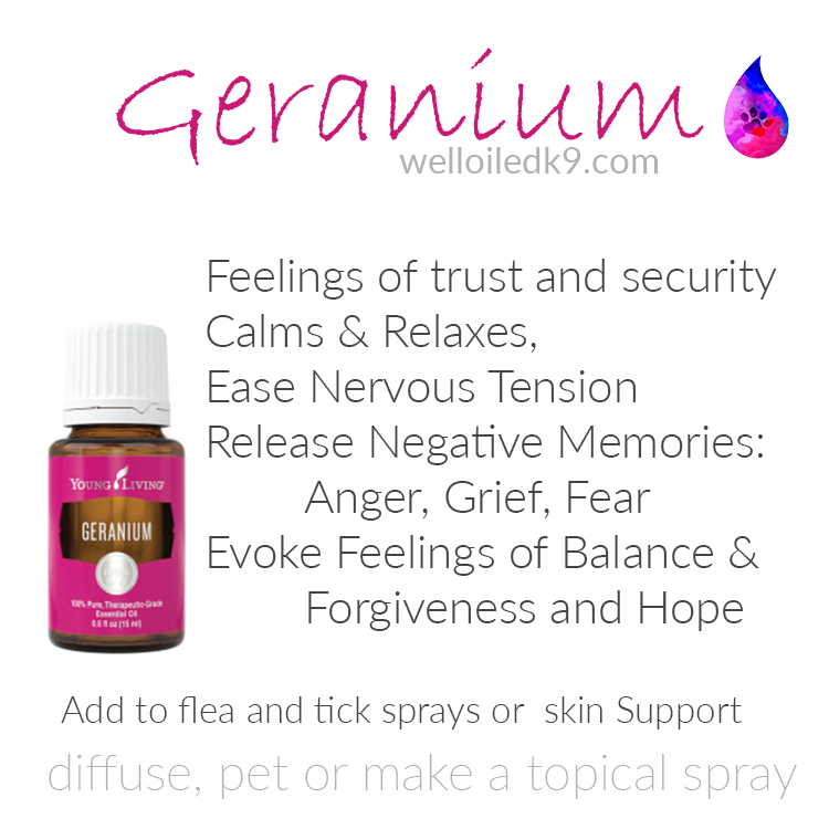 geranium.png
