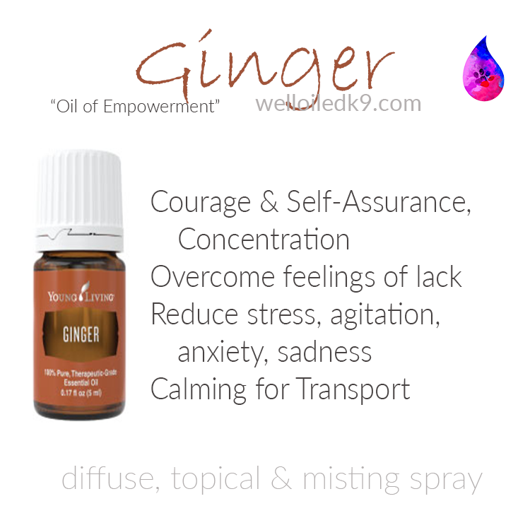 ginger.png