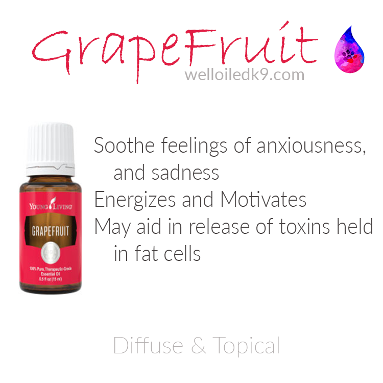 grapefruit.png