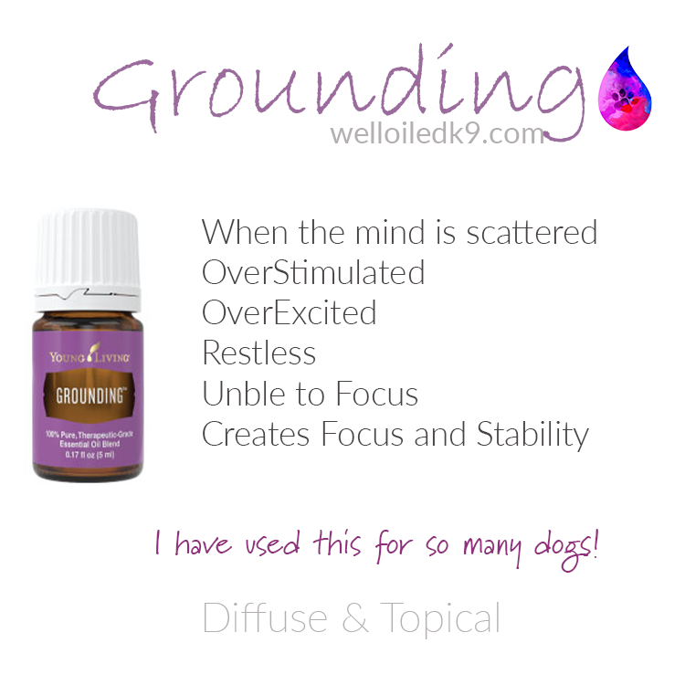 grounding2.png