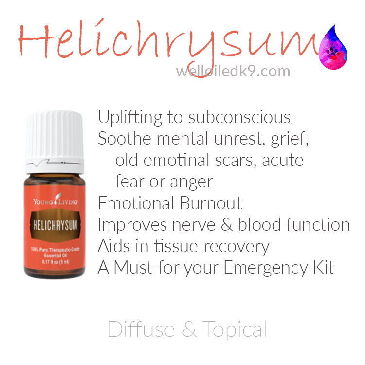 helichrysum.png