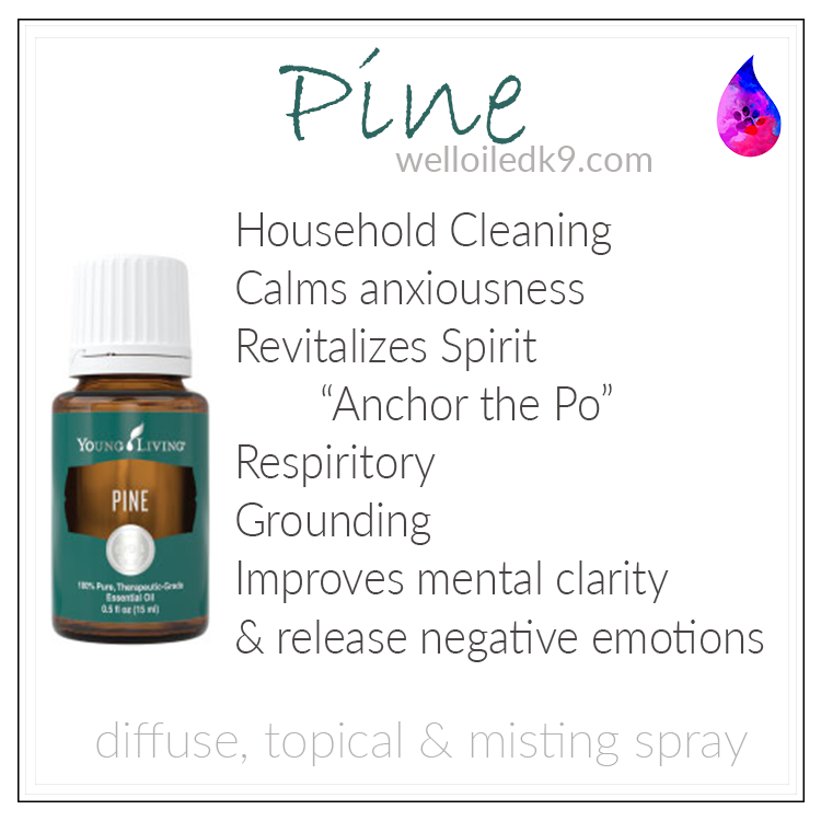 pine.png