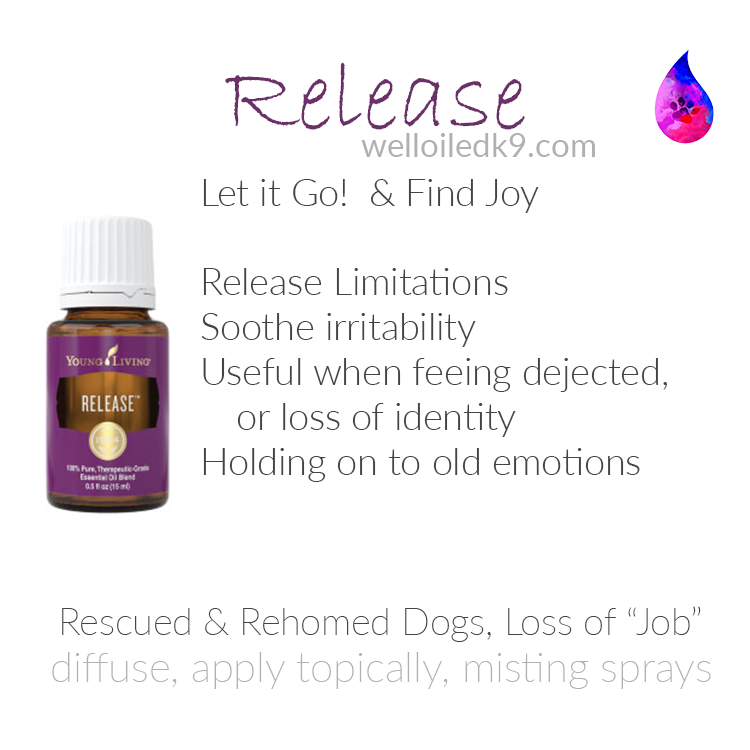 release.png
