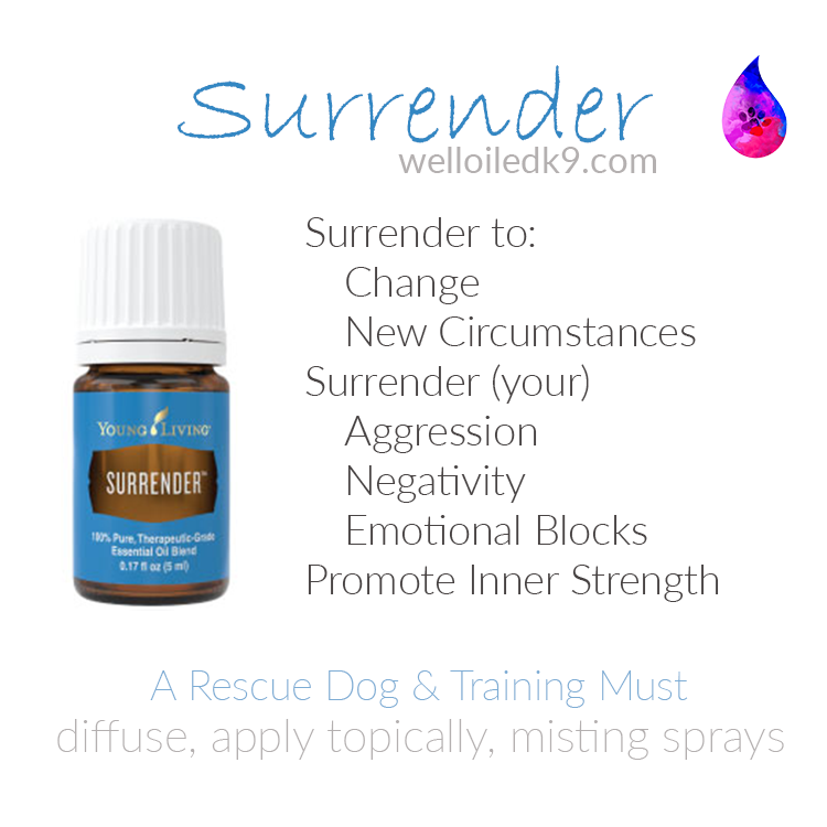 surrender.png
