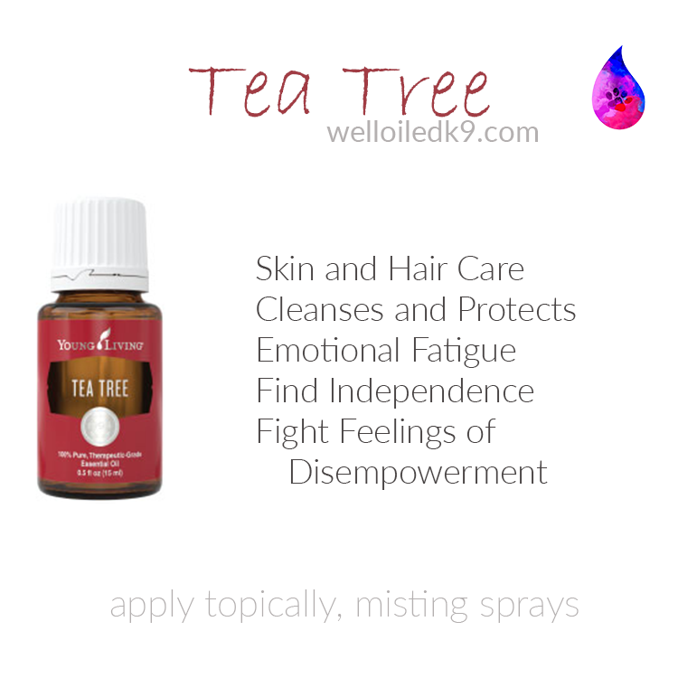 Tea Tree.png