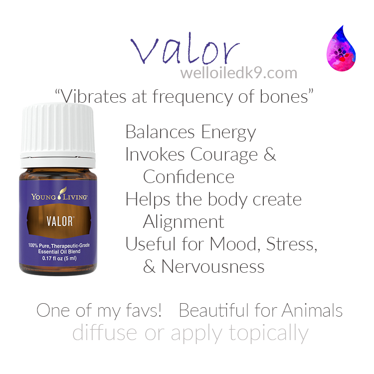 valor.png