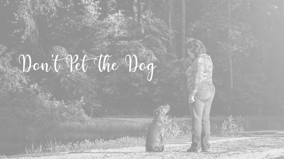 Don't Pet Strange Dogs