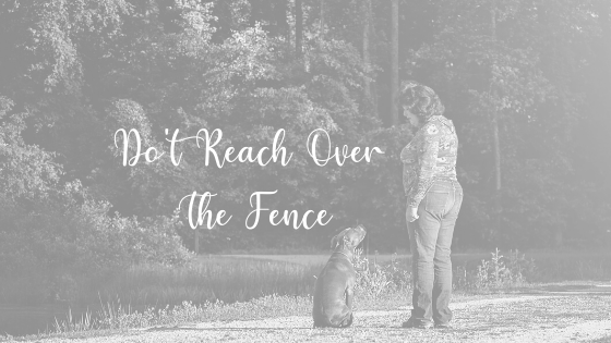 Don't Reach Over the Fence