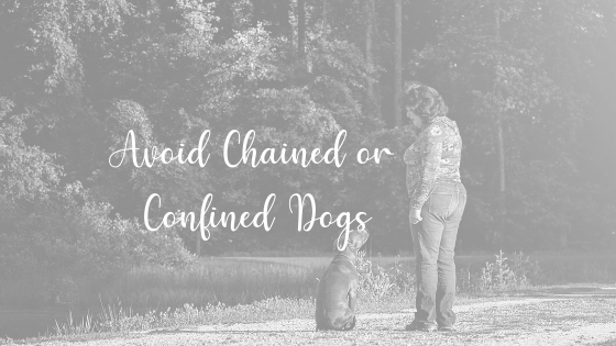 Chained Dogs are Risky