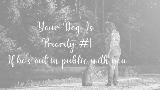 Know Your Dog, Prioritize Him On The Outing