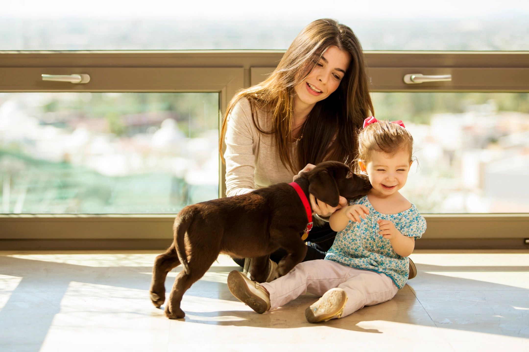5 Steps for Introducing Your Dog To Kids