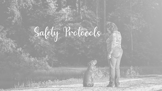 More Safety Protocols