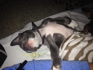 How To Sleep Through The Night