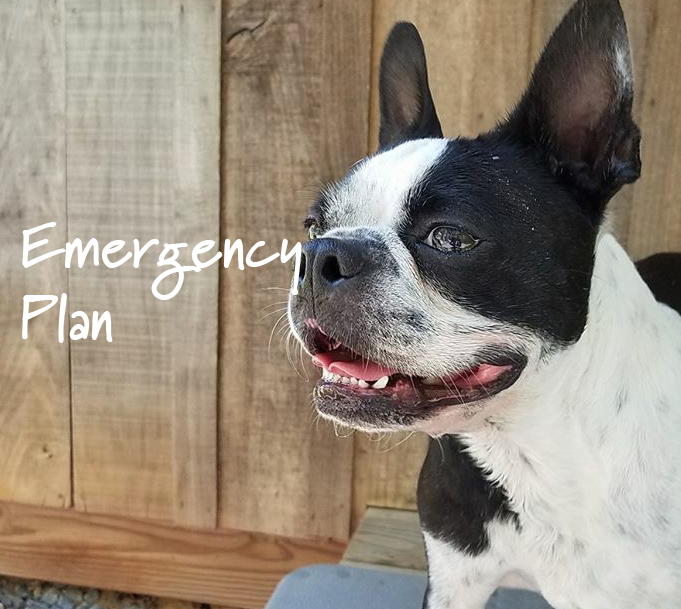 Emergency Preparations - Fire Drills