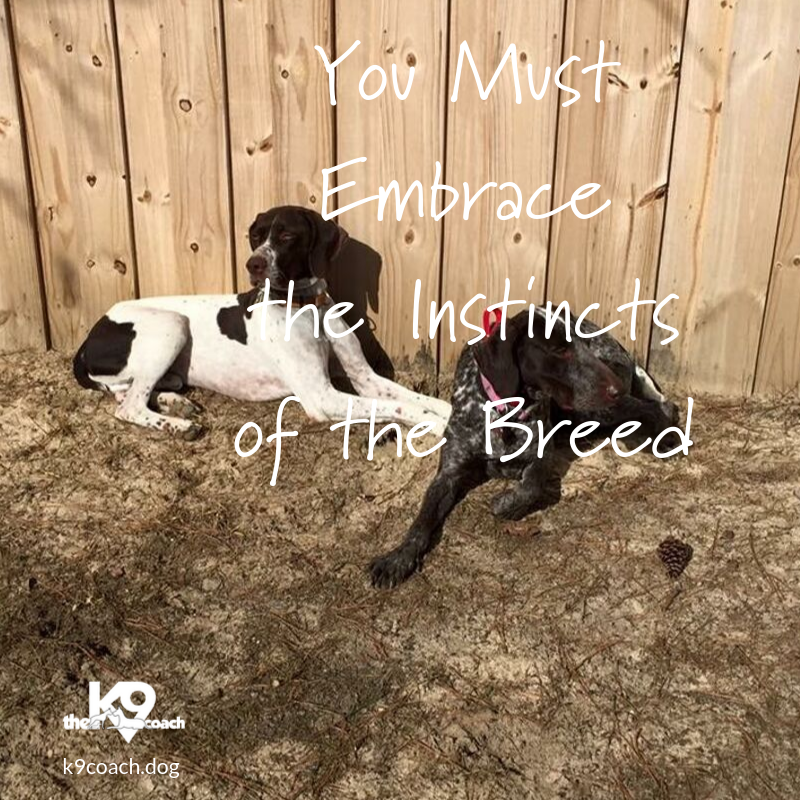 Embrace Instincts of the Breed