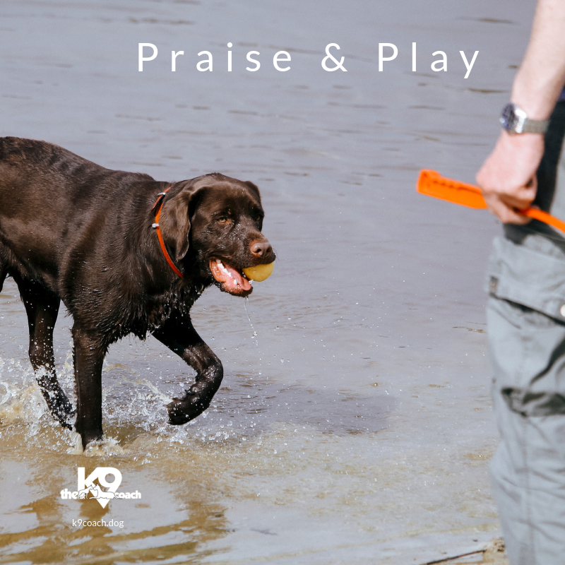 Praise &amp; Play