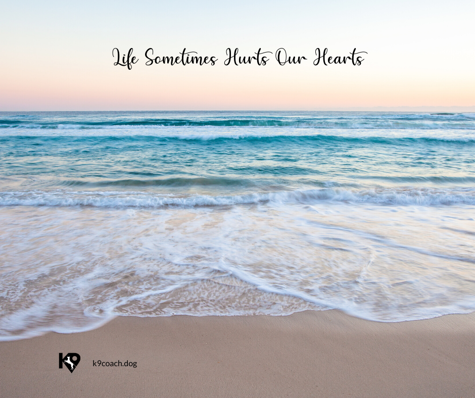 Life Sometimes Presents Tough Decisions