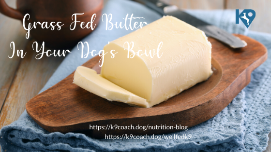 Grass Fed Butter In My Dog Food?