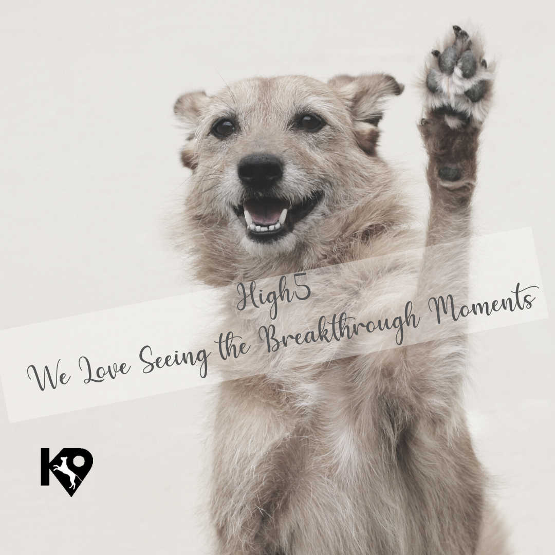 Waiting On The Breakthrough