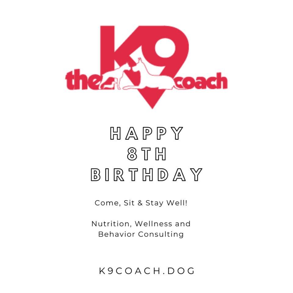 The K9 Coach Is Not Just Training