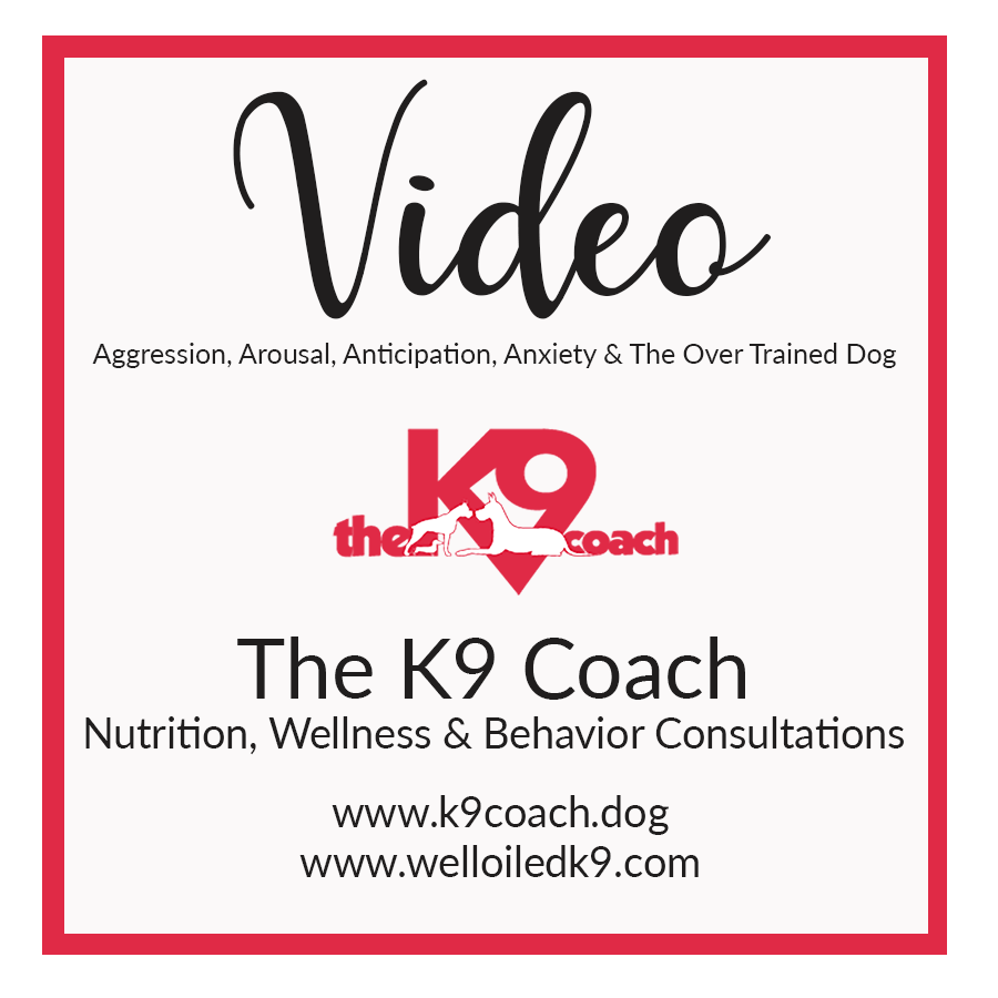Aggression, Arousal, Anticipation, Anxiety &amp; The Over Trained Dog