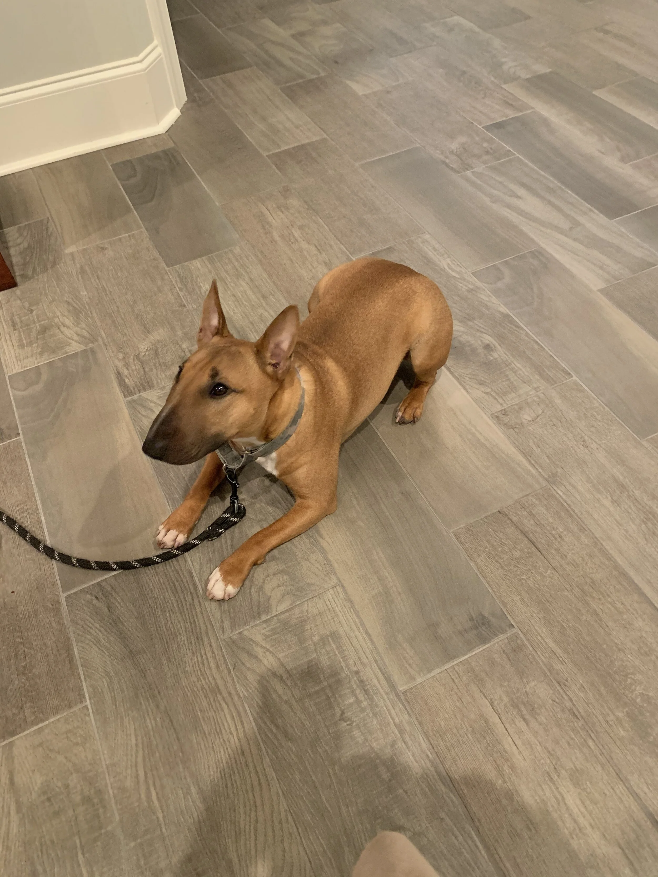 When Training Misses the Mark