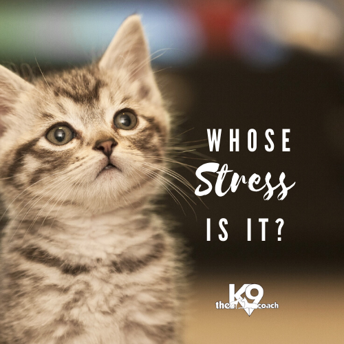 Whose Stress Is It?