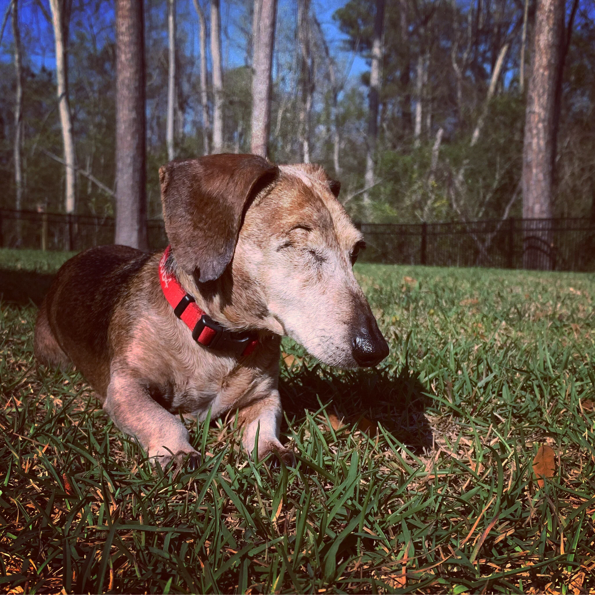 When You Love Too Much