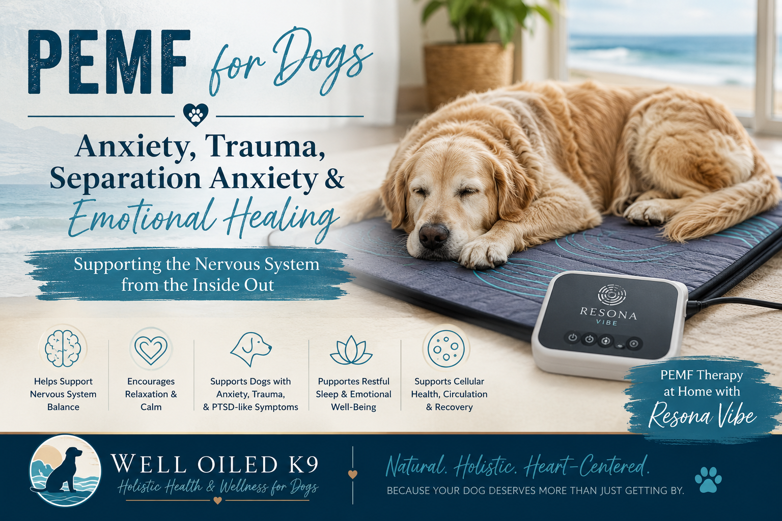 PEMF for Anxiety, Trauma, Separation Anxiety, and Emotional Healing in Dogs