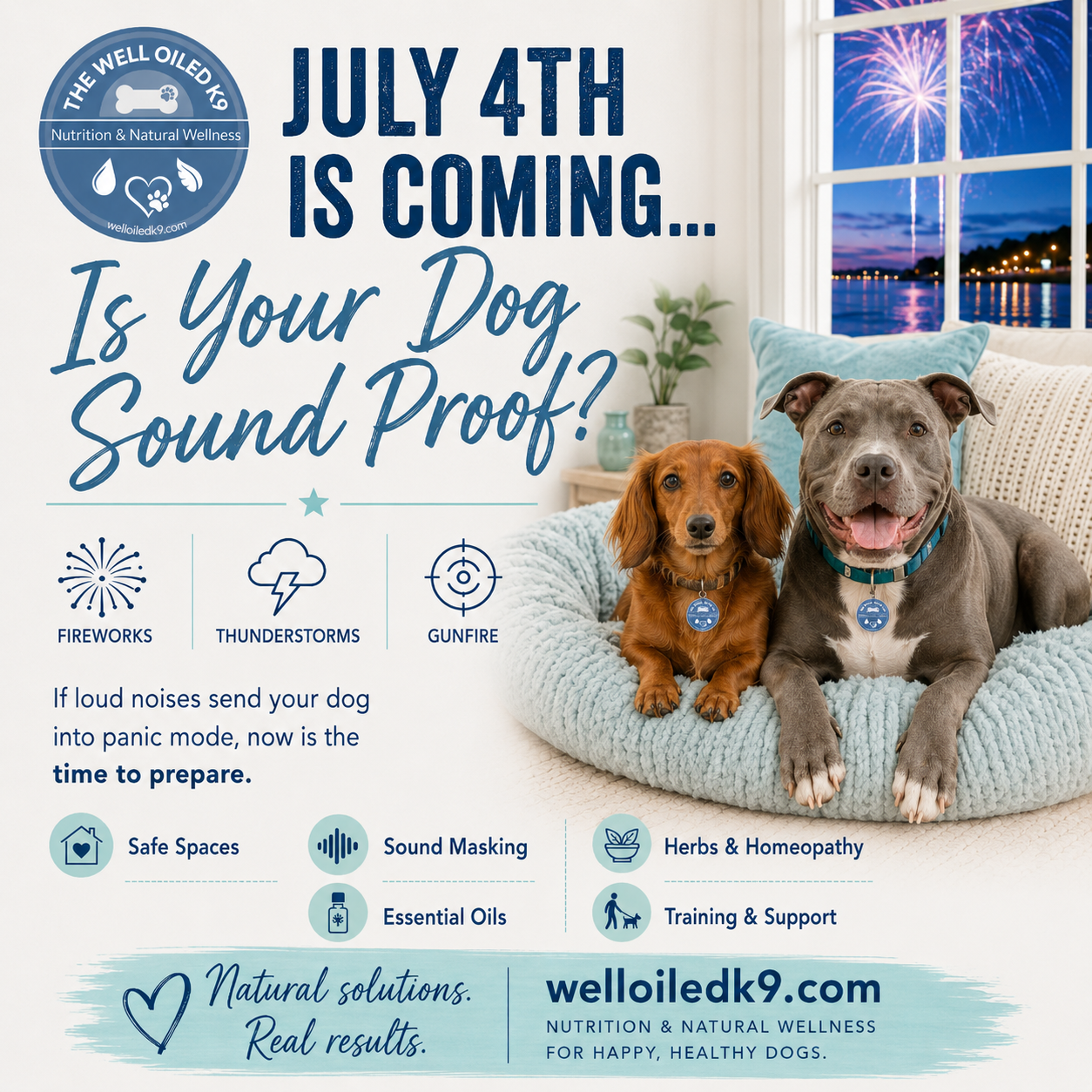 Fireworks Anxiety in Dogs