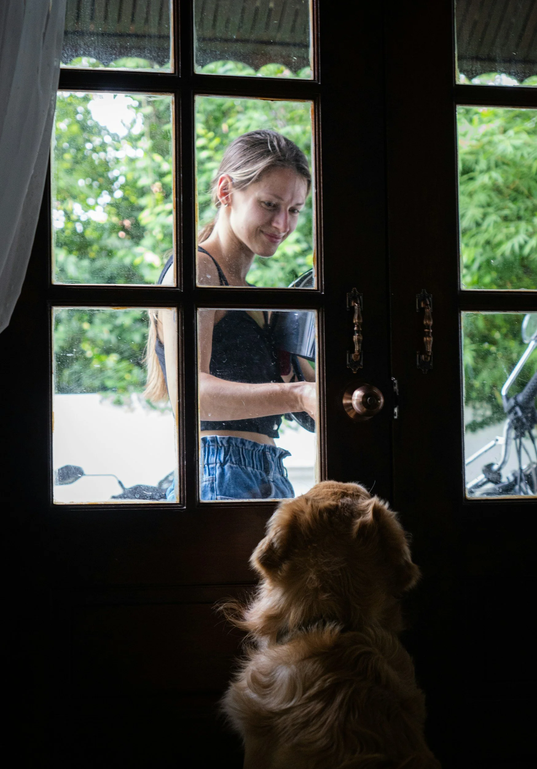 Are You Being Fair to Your Dog? When Socialization Pushes Too Far