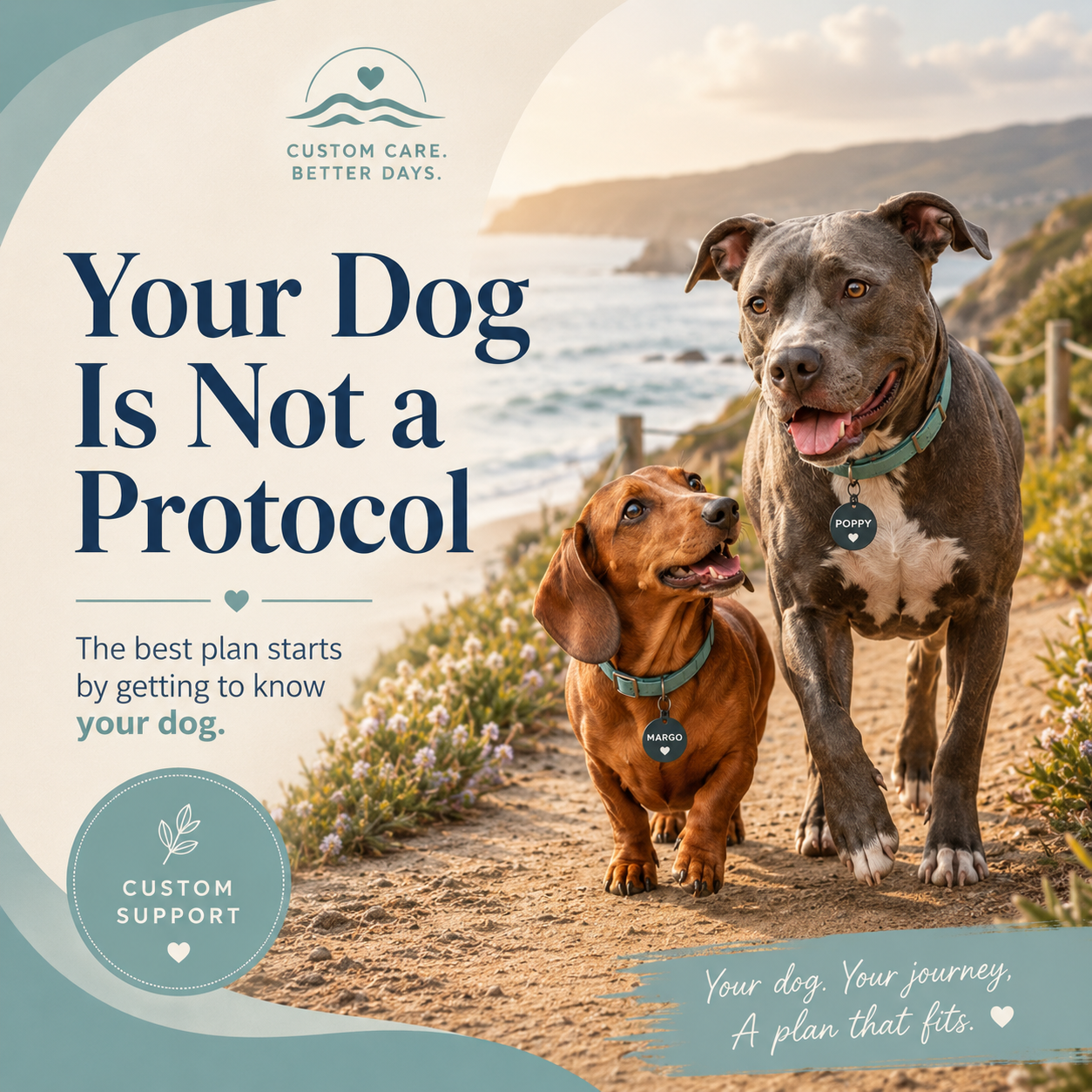 Your Dog Is Not a Protocol: Why I Build Custom Protocols for Dogs